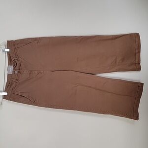 Everlane Wide Leg Crop Pant Tan/Brown 12